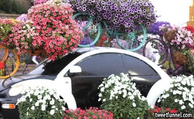 Open Business Sign: Your Trusted Travel Partner for Umbra Pilgrims