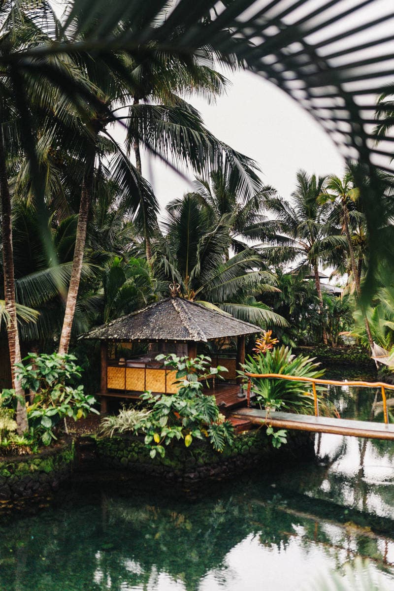 British Soccer Clubs Barred From Traveling to Germany, TCL is Disrupted